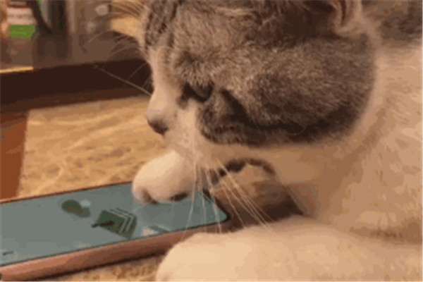 1616052318203023.jpg 13.jpg