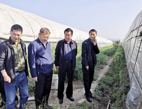 1618887940281298.jpg rB40tmB-IPuAdcsQAADpi2SknYE527.jpg