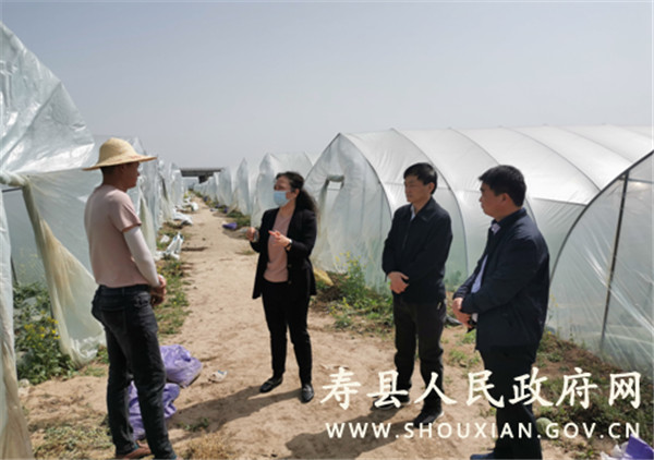 淮南市壽縣縣委副書(shū)孫奇志到澗溝鎮調研指導重點(diǎn)工作