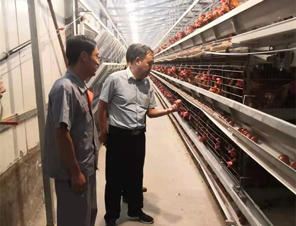 淮南市鳳臺縣打造“紅色引擎”  賦能鄉村振興