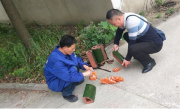 淮南謝家集區開(kāi)展2021年春季滅鼠工作