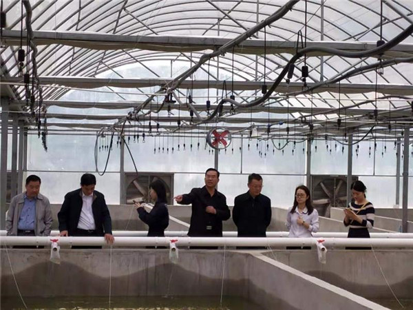 安徽淮南國家農業(yè)科技園區扎實(shí)做好園區建設評估工作