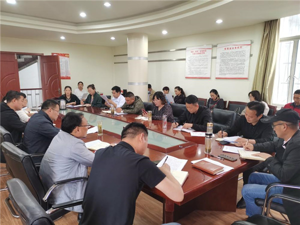 淮南大通區九龍崗鎮召開(kāi)意識形態(tài)暨宣傳工作培訓會(huì )