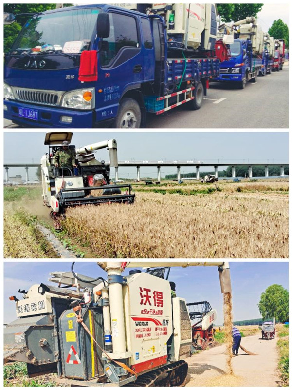 淮南毛集實(shí)驗區開(kāi)機收麥