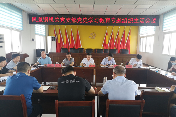 淮南市鳳臺縣鳳凰鎮黨委：嚴把“四道關(guān)” 開(kāi)好黨史學(xué)習教育專(zhuān)題組織生活會(huì )