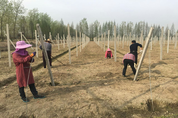 淮南市壽縣眾興鎮：打出“組合拳” 推動(dòng)鄉村振興添活力