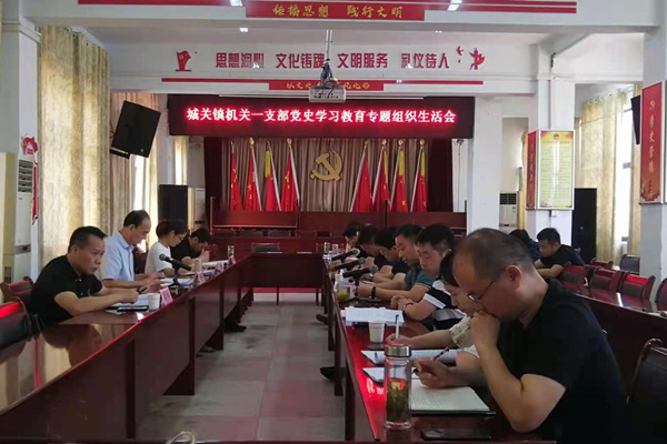 淮南市鳳臺縣城關(guān)鎮黨委：“五度工作法” 開(kāi)好專(zhuān)題組織生活會(huì )