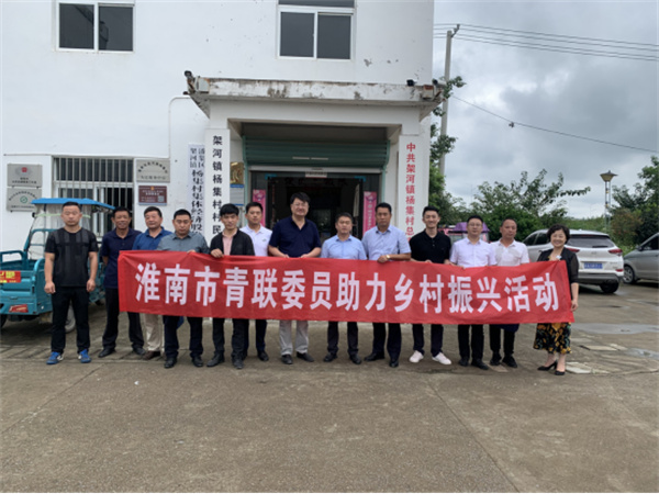 淮南市青聯(lián)開(kāi)展學(xué)習習近平總書(shū)記“七一”重要講話(huà)精神，助力鄉村振興交流活動(dòng)