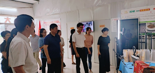 淮南市大通區政協(xié)視察區婦女兒童工作