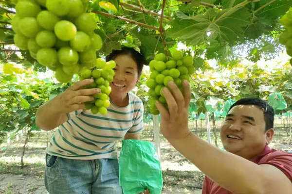 淮南市鳳臺縣顧橋鎮黨委:念好黨建引領(lǐng)“四字訣”，激活鄉村振興“一池水”