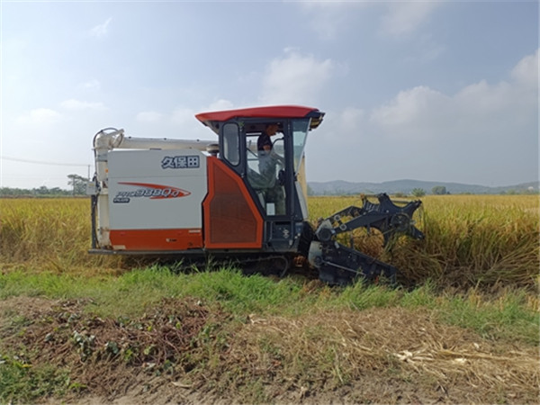 淮南八公山區三舉措抓好秋收秋種工作