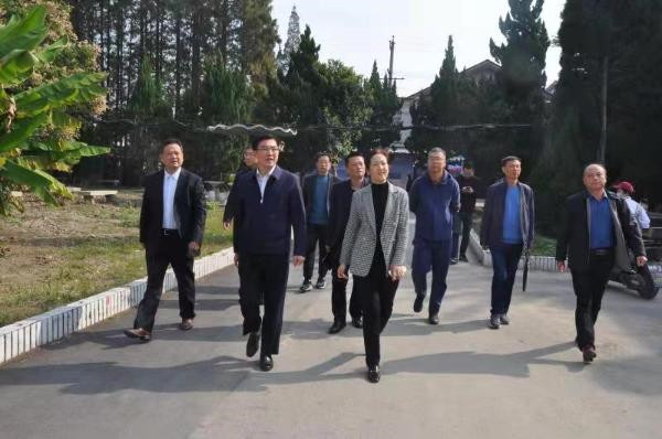 淮南市委副書(shū)記汪謙慎一行到淮南衛生學(xué)校調研職業(yè)教育發(fā)展情況