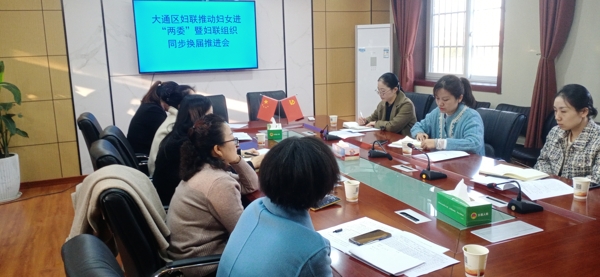 淮南市大通區婦聯(lián)推動(dòng)婦女進(jìn)“兩委”暨婦聯(lián)組織同步換屆推進(jìn)會(huì )