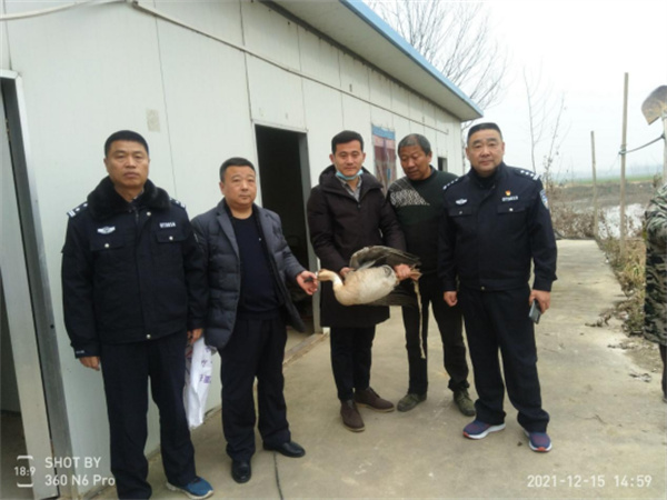 淮南市壽縣自然資源和規劃局救助放生國家二級保護野生動(dòng)物一只