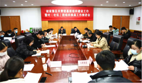 淮南市【謝家集區】謝家集區召開(kāi)共青團基層組織建設工作暨村（社區）團組織換屆工作推進(jìn)會(huì )
