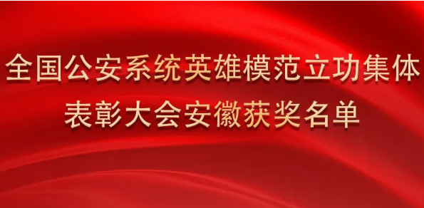 淮南上榜！全國表彰！