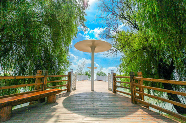 高考結束，賞花季節來(lái)臨！焦崗湖旅游度假區免費送門(mén)票