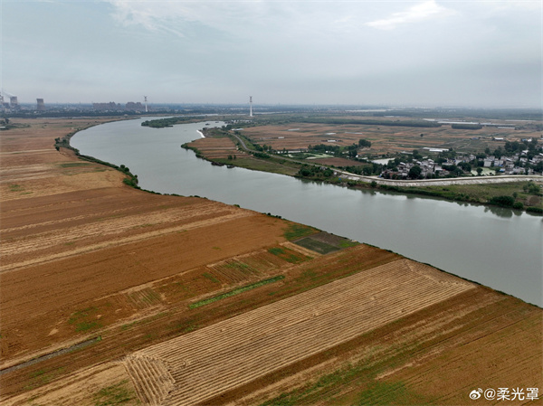 【圖說(shuō)淮南】——布谷聲初定，欣看麥已秋