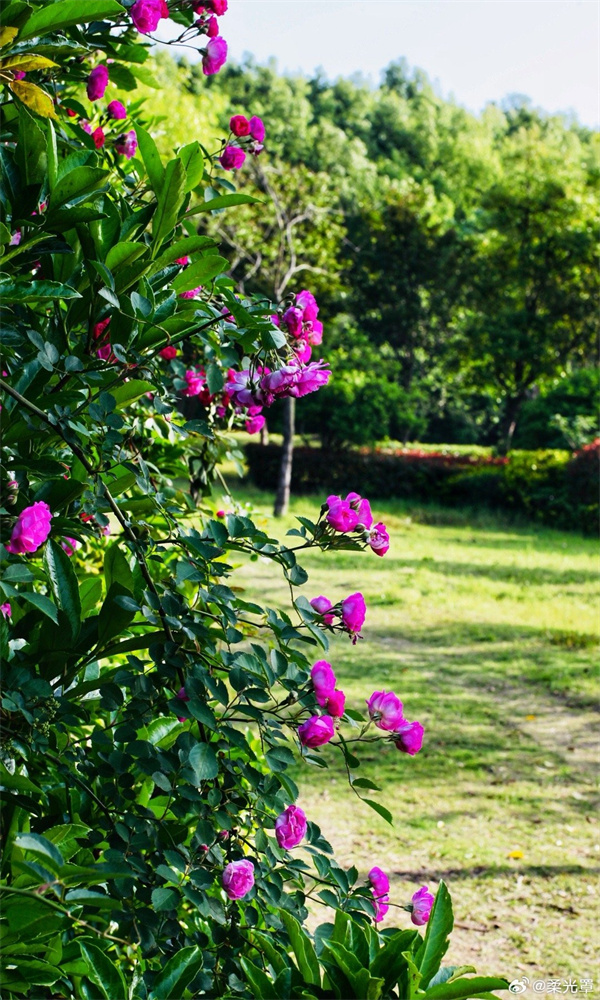 淮南市市場(chǎng)監管局多措并舉推進(jìn)“兩品一械”監管工作高效有序