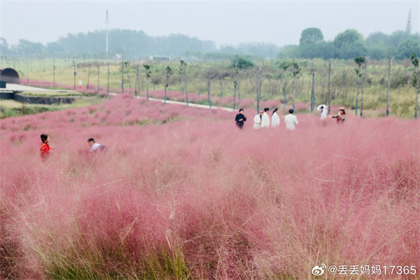 【圖說(shuō)淮南】——紅色粉黛  ???