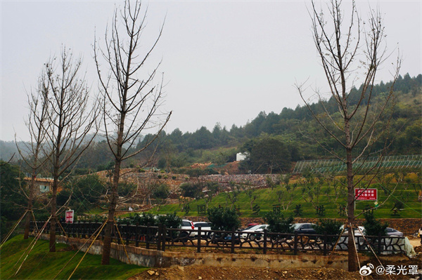 【圖說(shuō)淮南】——秋霧蒙蒙