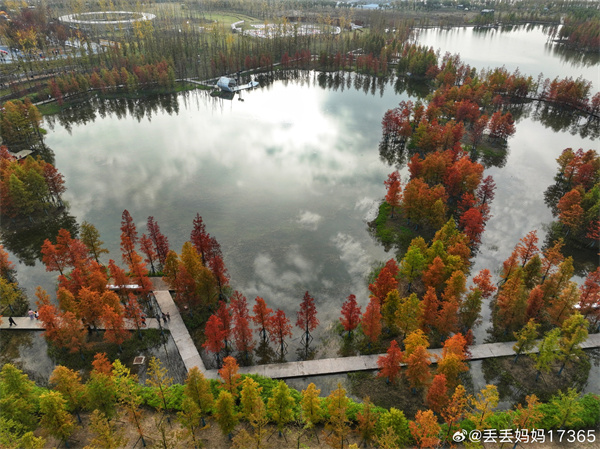 【圖說(shuō)淮南】——彩色的秋  ??