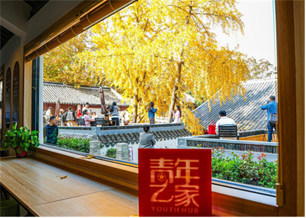 金葉舞秋韻 書(shū)香伴杏黃 八公山區圖書(shū)館成秋日網(wǎng)紅打卡地