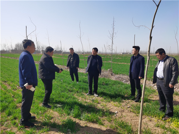 淮南市林業(yè)局局長(cháng)魯金杰調研指導春季植樹(shù)造林工作